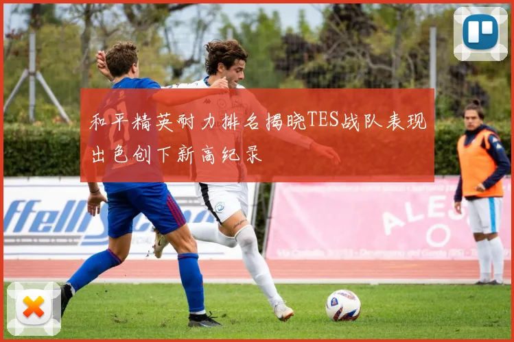 和平精英耐力排名揭晓TES战队表现出色创下新高纪录