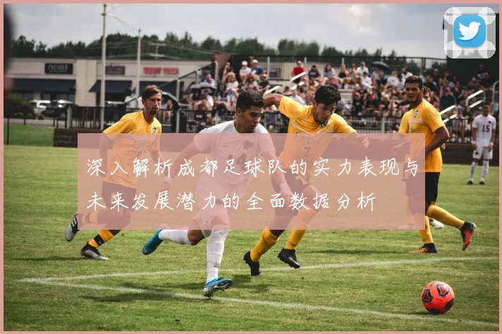 深入解析成都足球队的实力表现与未来发展潜力的全面数据分析