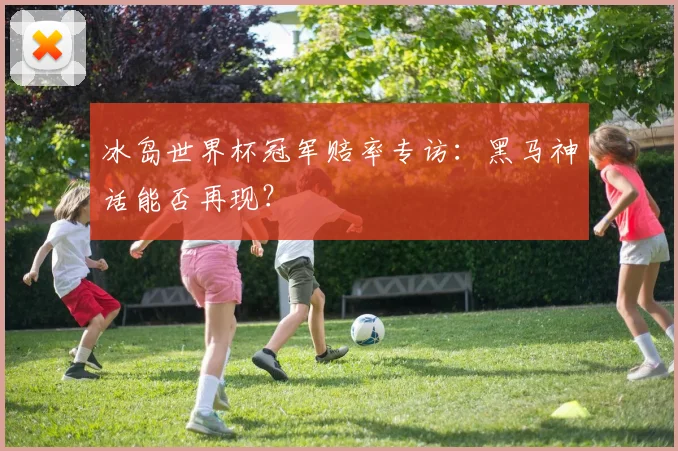 冰岛世界杯冠军赔率专访：黑马神话能否再现？